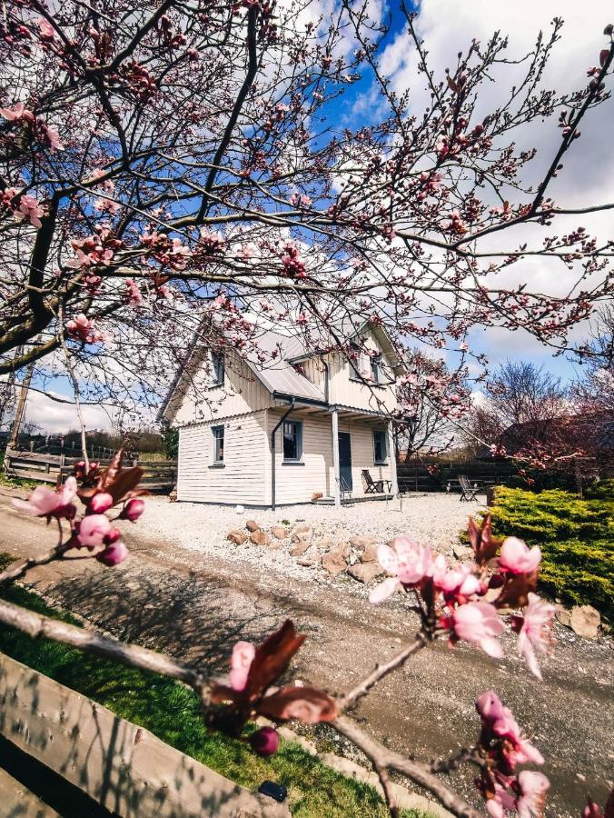 Villa Domek Skowronek Szczytna Exterior foto